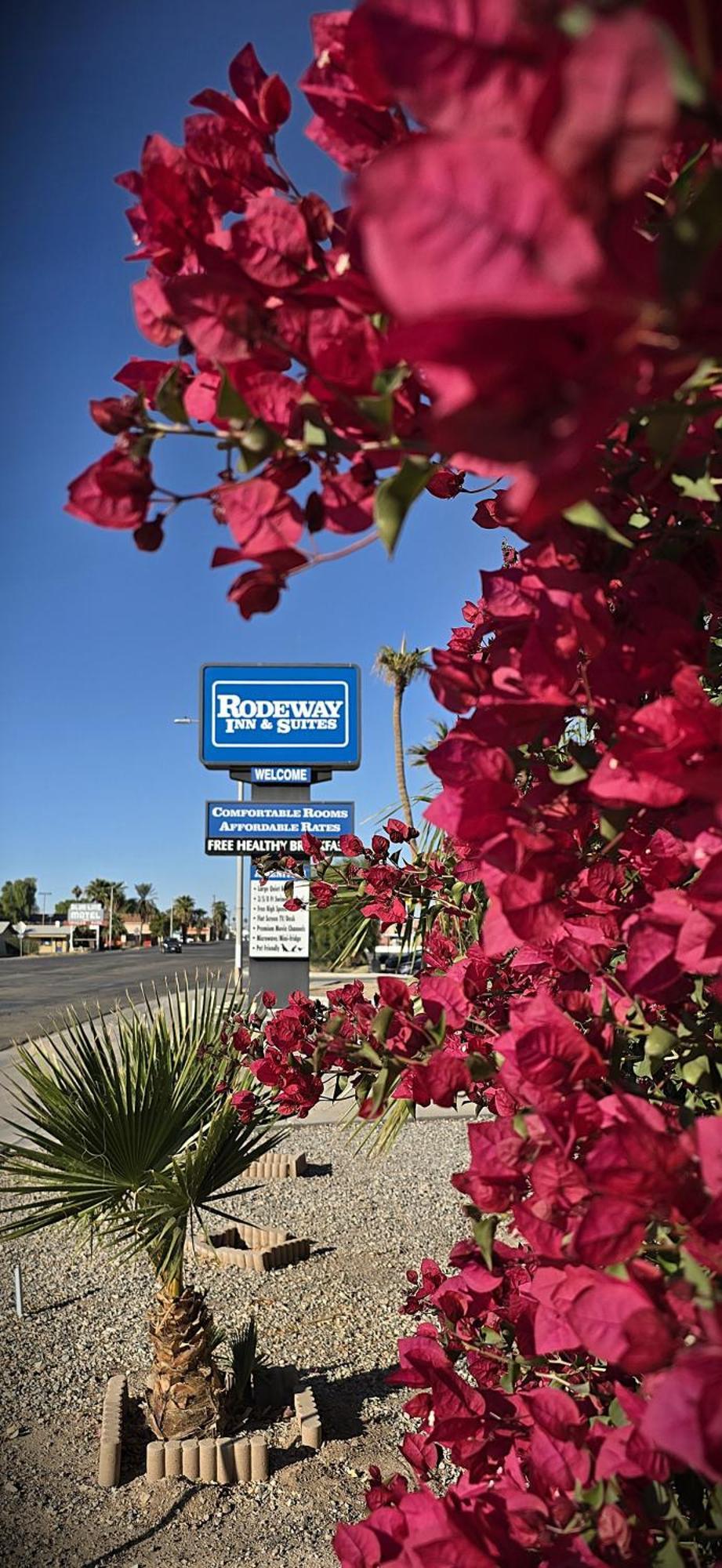 Rodeway Inn & Suites Blythe I-10 Bagian luar foto